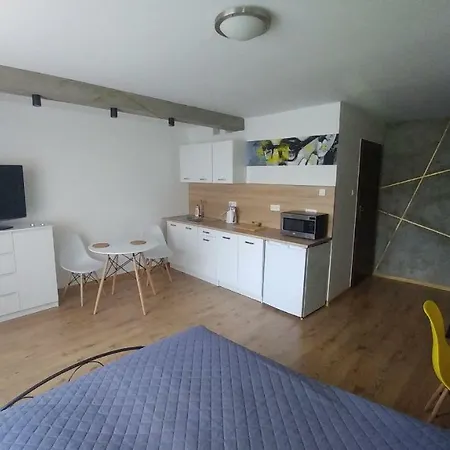 شقة Apartament Ketrzynskiego